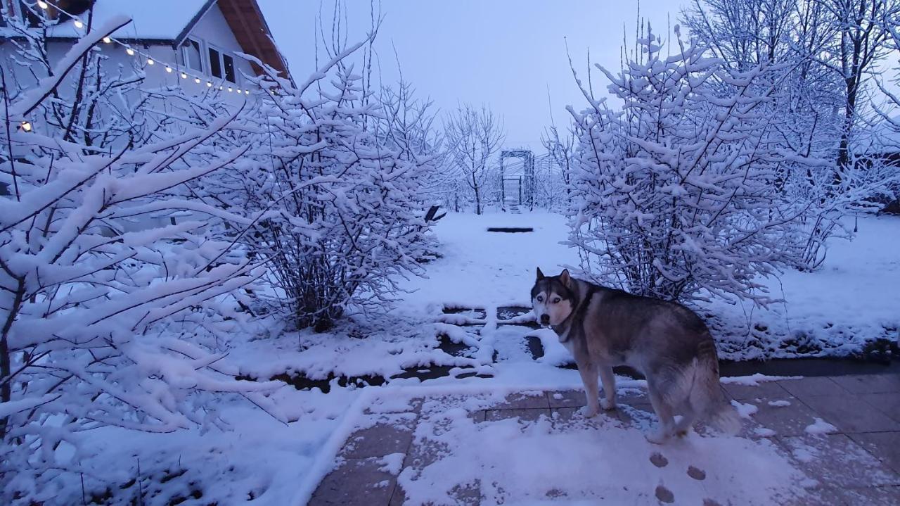 Forest Inn Izvorani Kültér fotó